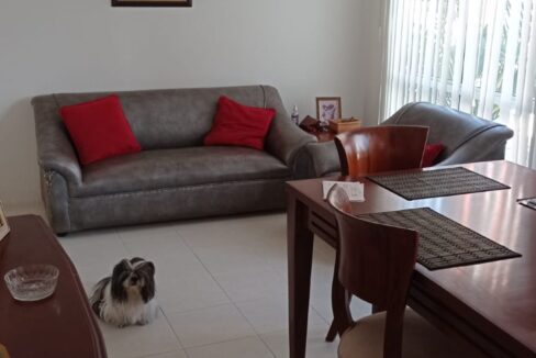 IMG-20220624-WA0013