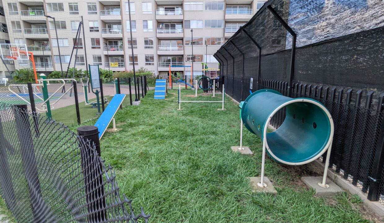 PXL_20251122_202445014